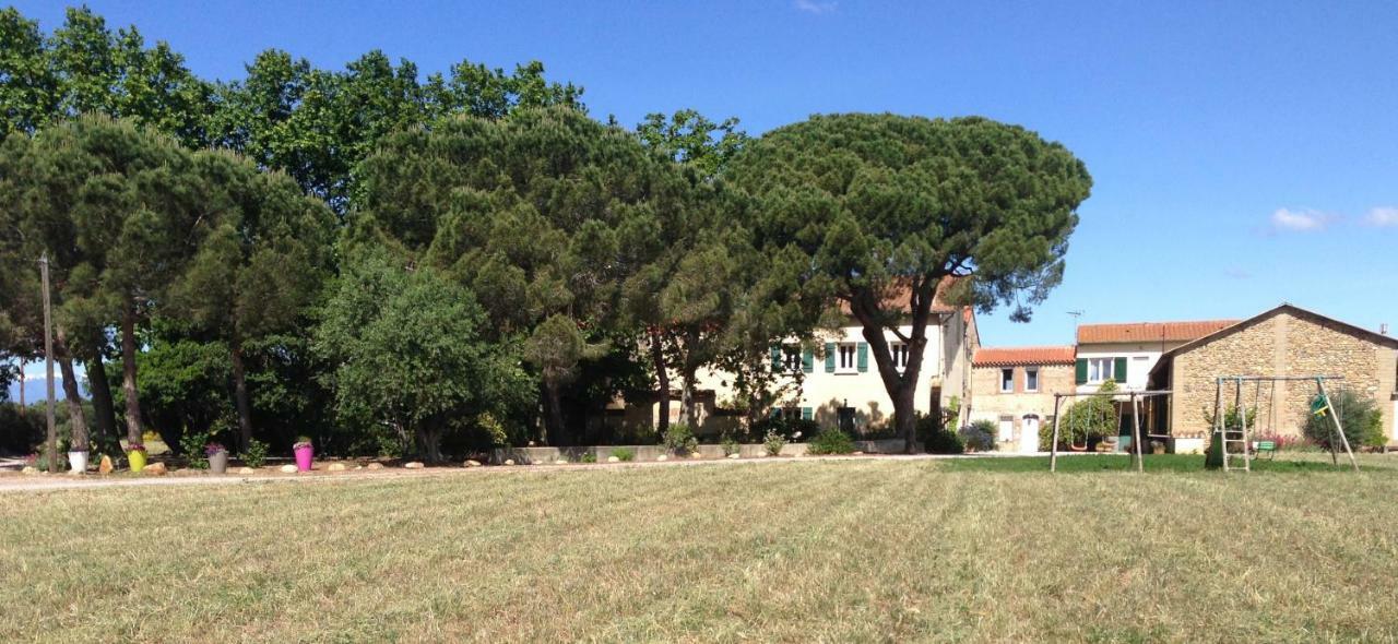 Gites Mas Ratero Thuir Bagian luar foto